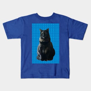 Sweet Kitty on Blue Kids T-Shirt